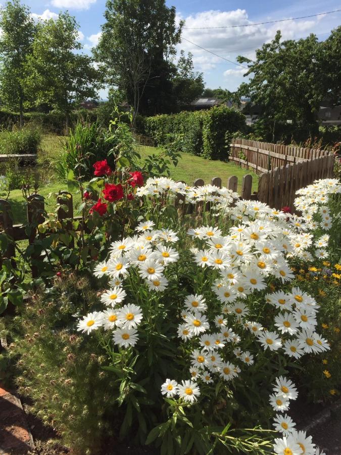 Slades Farm Bed & Breakfast Edington  Exterior photo